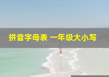 拼音字母表 一年级大小写